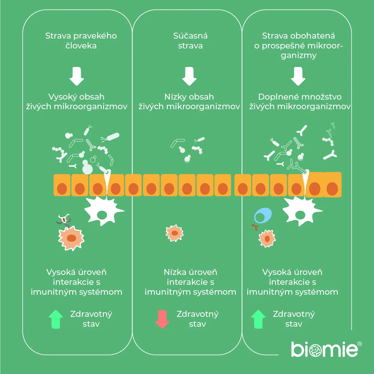 Un breve recorrido por la lejana historia de la alimentación humana y la vuelta a la ciencia