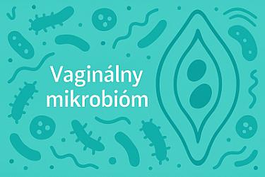 Microbioma vaginal: importancia para la salud íntima de la mujer, cambios y mantenimiento de un estado saludable