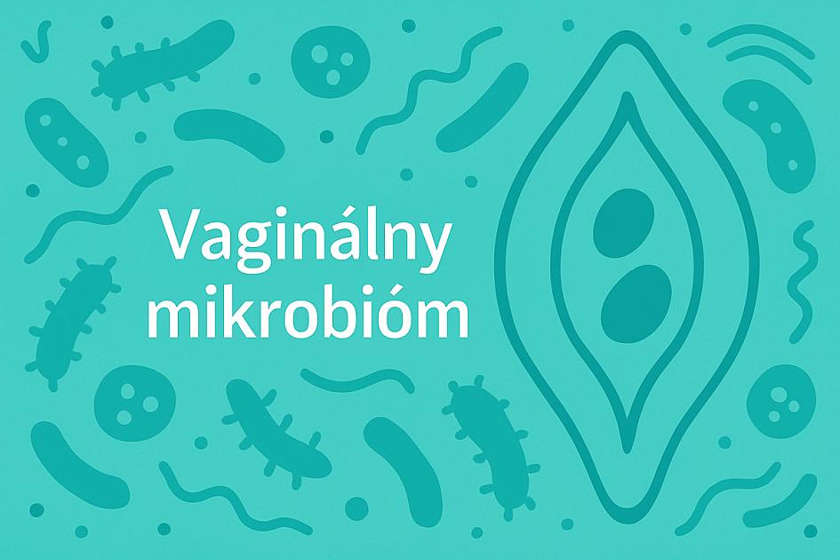 Microbioma vaginal: importancia para la salud íntima de la mujer, cambios y mantenimiento de un estado saludable