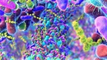 Microbioma